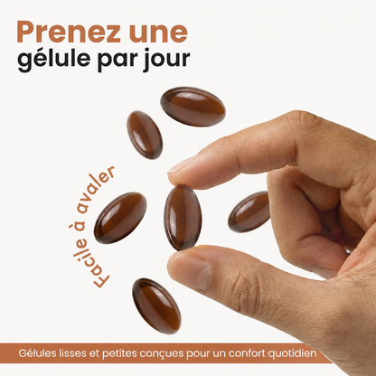 Cannelle de Ceylan équivalent 7200 mg avec huile TCM